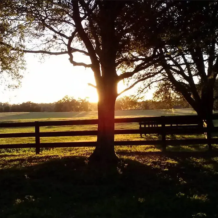 The land at Katya Vineyards at sunset