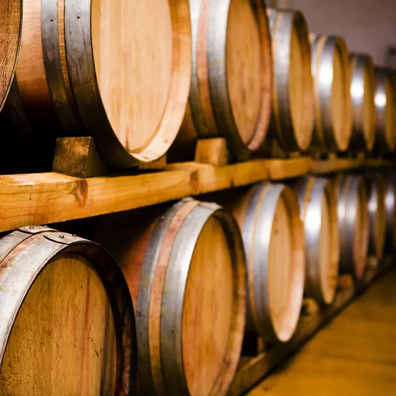 Oak wine barrels in the Katya Vineyards cellar